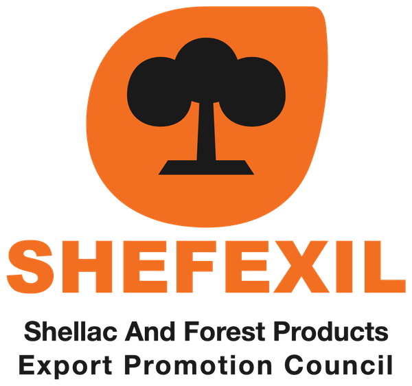 SHEFEXIL